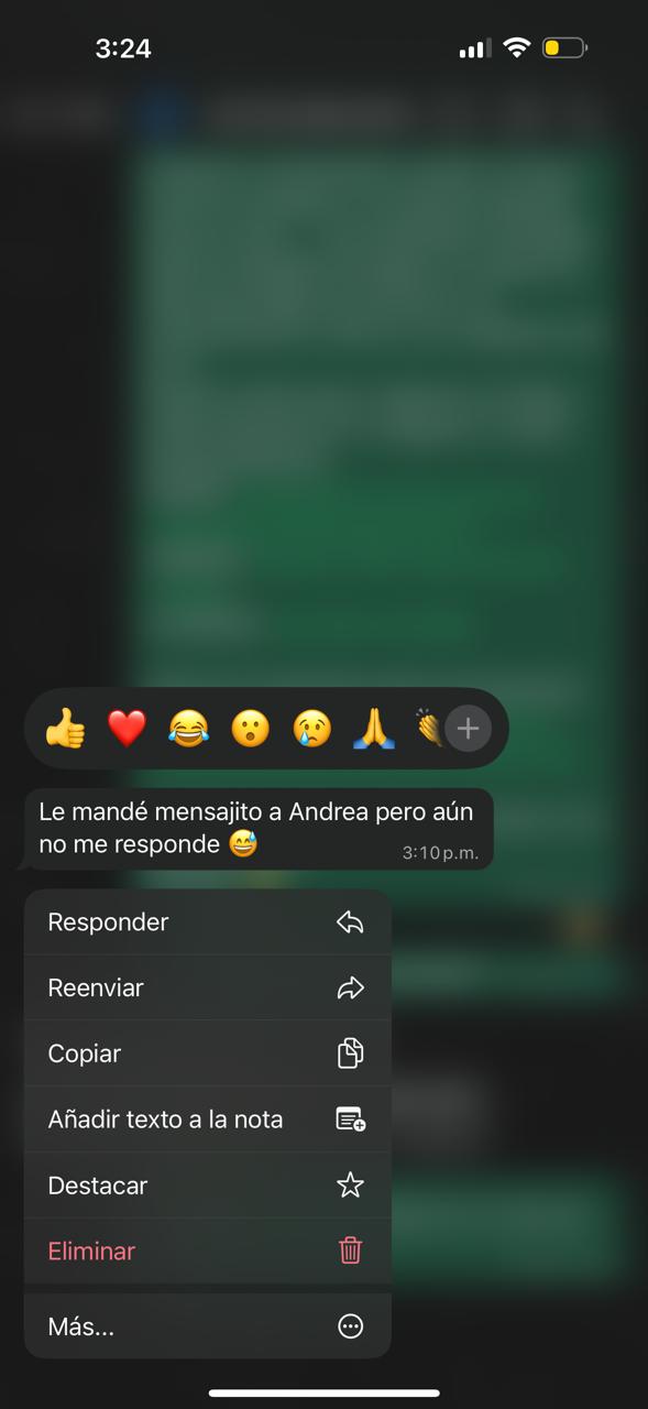 Testimonio de cliente TenisLoop